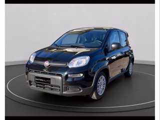 FIAT Panda 1.0 firefly hybrid s&s 70cv