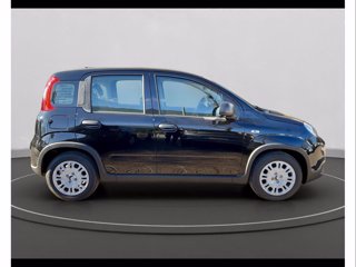 FIAT Panda 1.0 firefly hybrid s&s 70cv