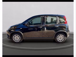 FIAT Panda 1.0 firefly hybrid s&s 70cv